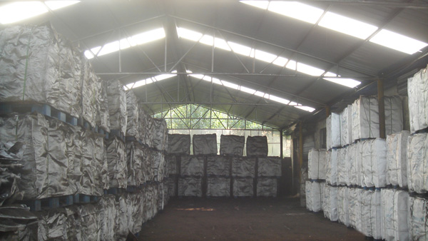 mg不朽情缘自然沥青